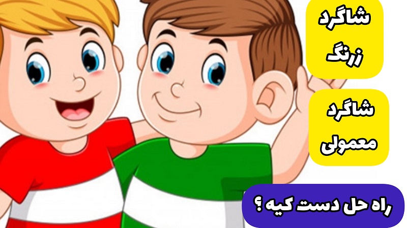 شاگرد زرنگ شاگرد معمولی راه حل دست کیه